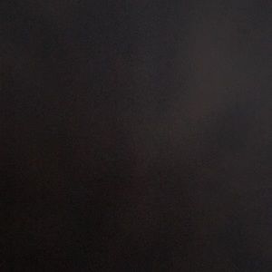 Meet your Posher, Cheyenne